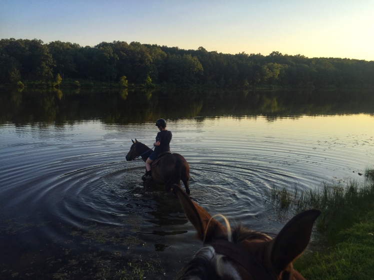 Woman on horse in lake.
