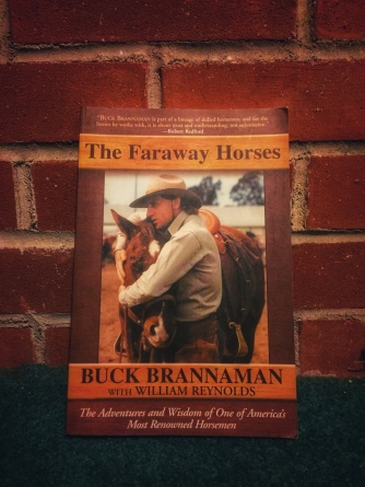 Photo of the book Faraway Horses